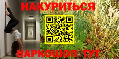 гашик Дубна