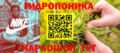 ПСИЛОЦИБИНОВЫЕ ГРИБЫ Гусиноозёрск