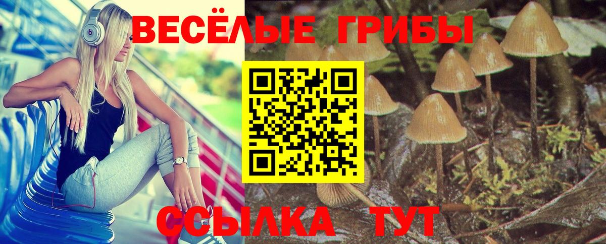 Псилоцибиновые грибы Psilocybine cubensis Ейск