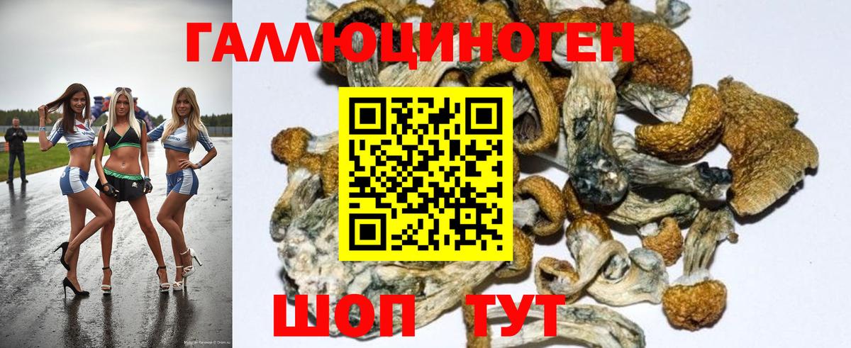 Галлюциногенные грибы Psilocybine cubensis  Псилоцибиновые грибы GOLDEN TEACHER  наркошоп  Вход с VPN  Ейск 